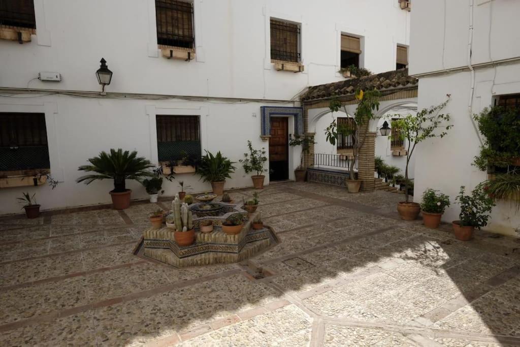 Medina Paradise Córdoba Exterior foto